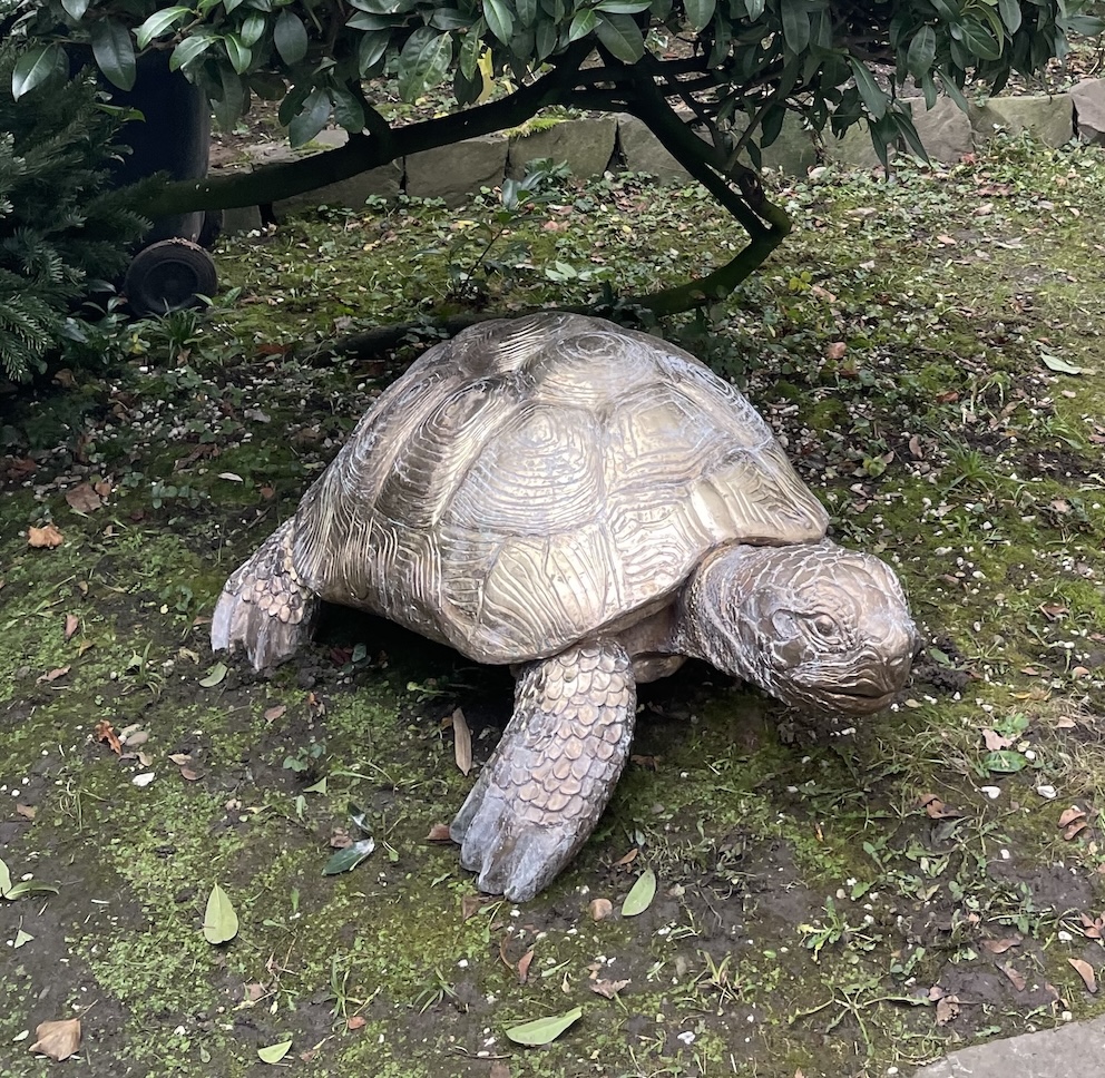 Clemens Hillebrand: Schildkröte aus Bronze, 2024.