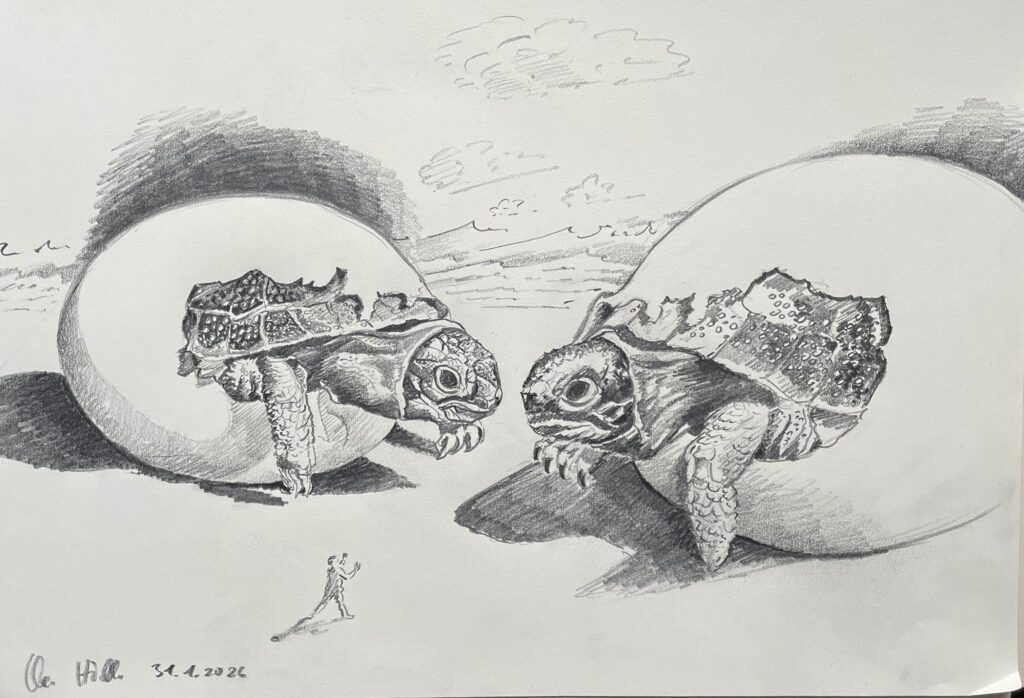 Zeichnung Schildkröten schlüpfen